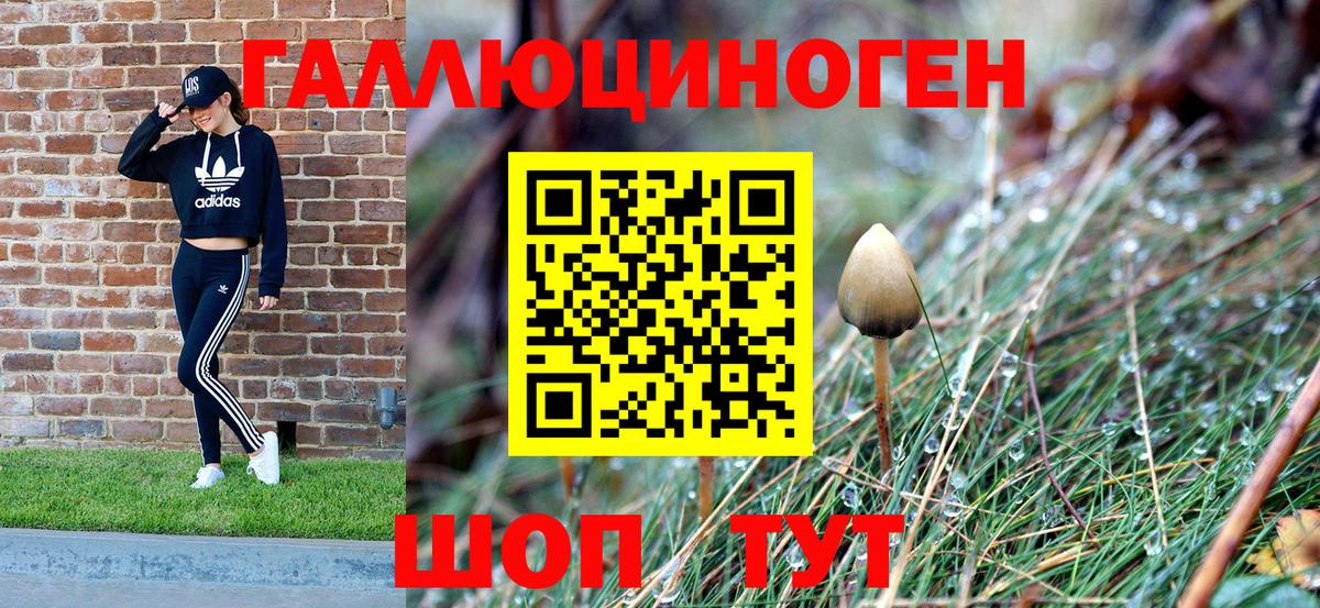 Галлюциногенные грибы Psilocybine cubensis Бутурлиновка