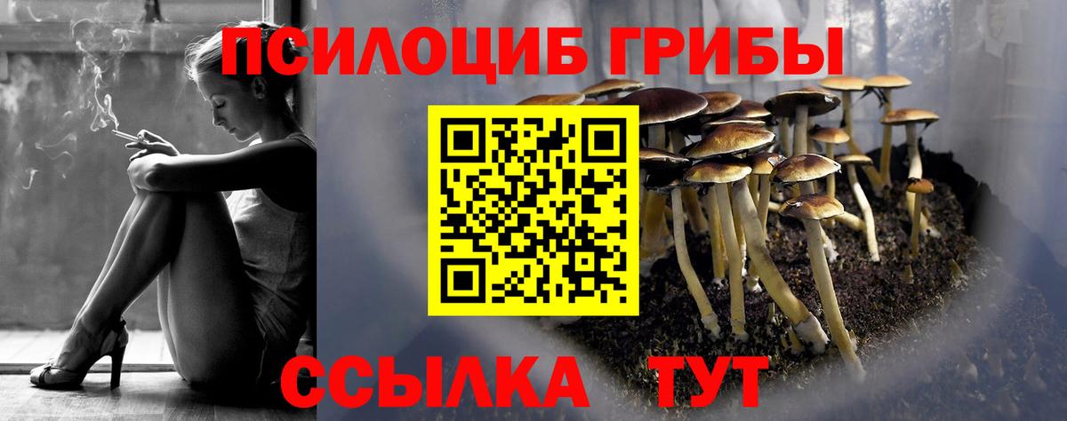 Галлюциногенные грибы ЛСД  Вход с VPN  Бутурлиновка  Псилоцибиновые грибы мицелий 